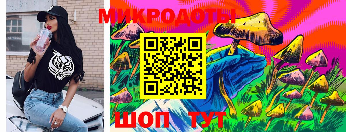 Чистополь  Галлюциногенные грибы прущие грибы  Вход с VPN 